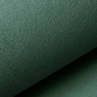 Tissu Fresh 10